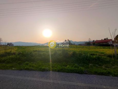 Land plot 15.800sqm for sale-Gazi » Agioi Theodoroi