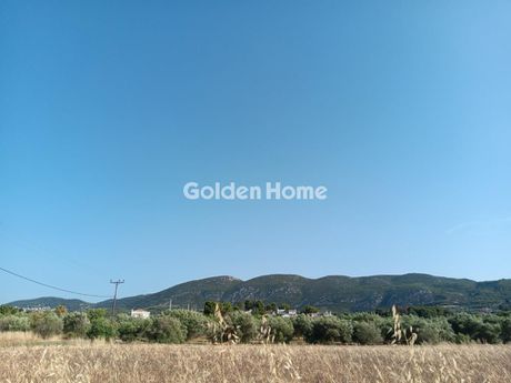 Parcel 11.800sqm for sale-Oropos » Kampos Oropou