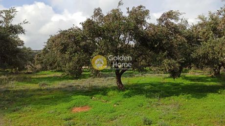 Parcel 1.000sqm for sale-Arkalochori » Nipiditos