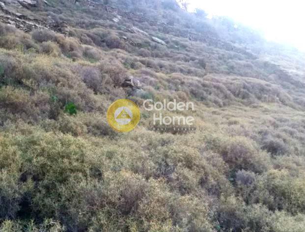 Οικόπεδο 4.900 τ.μ. προς πώληση, Λυγιά Κέας