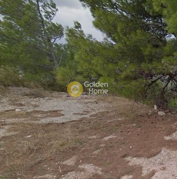 Land plot 1.000sqm for sale-Nea Makri » Neos Voutzas