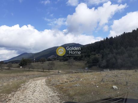 Land plot 45.000sqm for sale-Vitina » Center