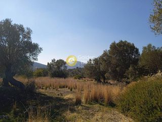Οικόπεδο 9.665 τ.μ. για πώληση, Ν. Ρεθύμνου, Σίβριτος-thumb-21
