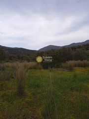 Οικόπεδο 9.665 τ.μ. για πώληση, Ν. Ρεθύμνου, Σίβριτος-thumb-7