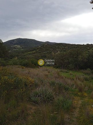 Οικόπεδο 9.665 τ.μ. για πώληση, Ν. Ρεθύμνου, Σίβριτος