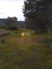 Οικόπεδο 9.665 τ.μ. για πώληση, Ν. Ρεθύμνου, Σίβριτος-thumb-4