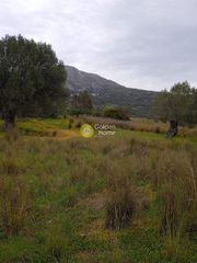 Οικόπεδο 9.665 τ.μ. για πώληση, Ν. Ρεθύμνου, Σίβριτος-thumb-14