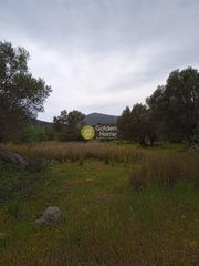 Οικόπεδο 9.665 τ.μ. για πώληση, Ν. Ρεθύμνου, Σίβριτος-thumb-5