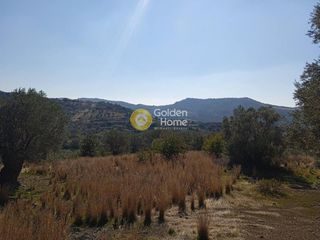Οικόπεδο 9.665 τ.μ. για πώληση, Ν. Ρεθύμνου, Σίβριτος-thumb-20