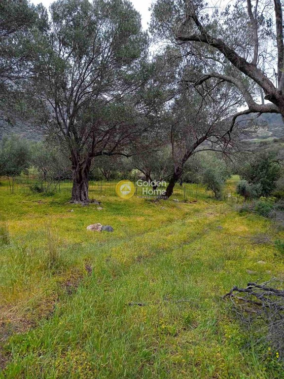 Οικόπεδο 9.665 τ.μ. πρός πώληση, Ν. Ρεθύμνου, Σίβριτος
