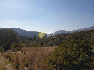 Οικόπεδο 9.665 τ.μ. για πώληση, Ν. Ρεθύμνου, Σίβριτος-thumb-19