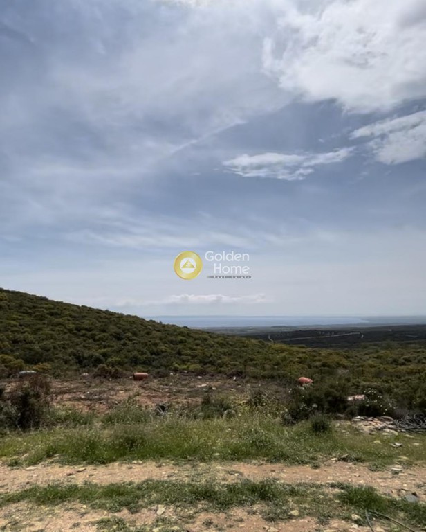 Αγροτεμάχια 22.766 τ.μ. προς πώληση, Κέντρο Πολυγύρου