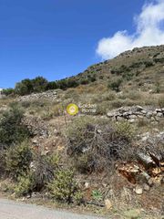 Οικόπεδο 24.233 τ.μ. για πώληση