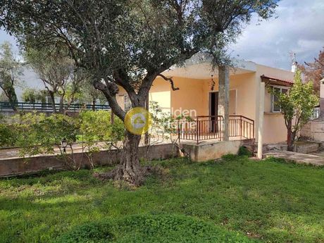 Land plot 343sqm for sale-Paiania » Agios Andreas