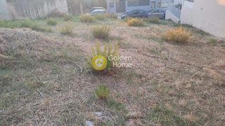 Οικόπεδο 303 τ.μ. προς πώληση, Σαραβάλι-thumb-4