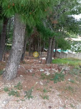 Land plot 503sqm for sale-Pikermi » Dioni