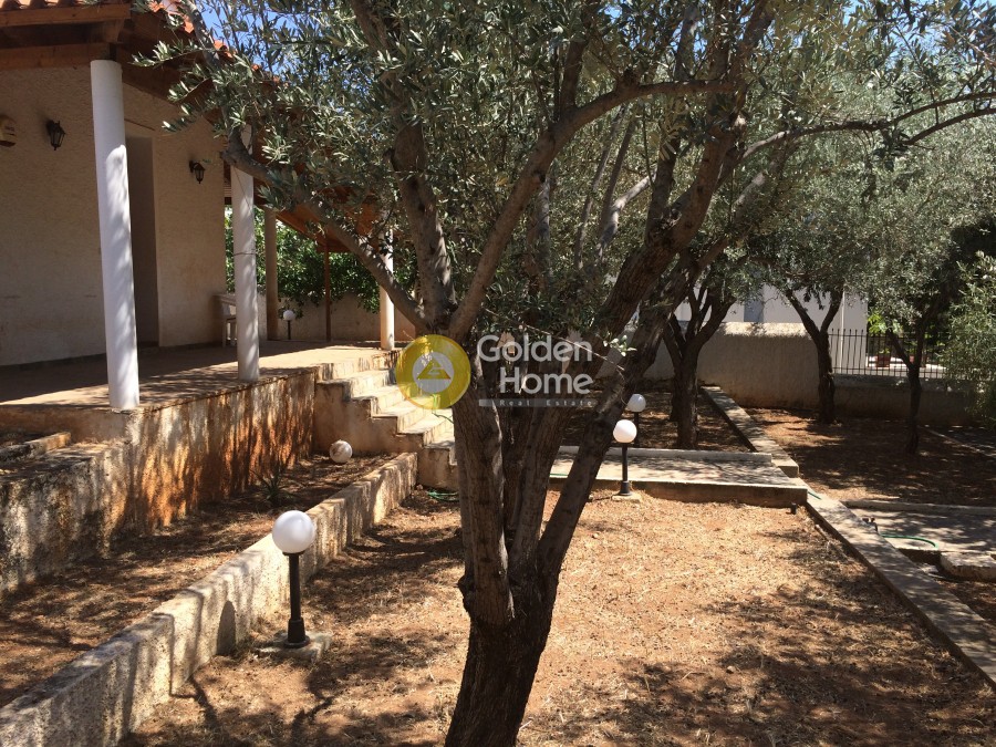 Μονοκατοικία 120 τ.μ. προς πώληση, Αιξωνή