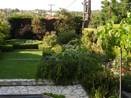 Detached home 122sqm for sale-Schimatari » Plaka Dilesi