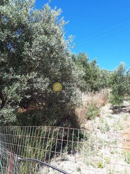 Land plot 1.750sqm for sale-Heraclion Cretes » Drakouliaris