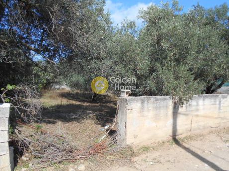 Parcel 980sqm for sale-Paiania » Argithea