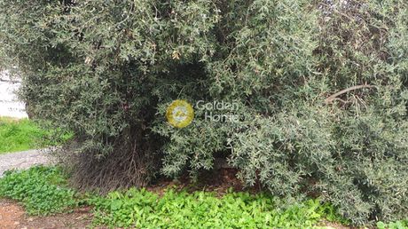 Land plot 257sqm for sale-Gerakas » Center