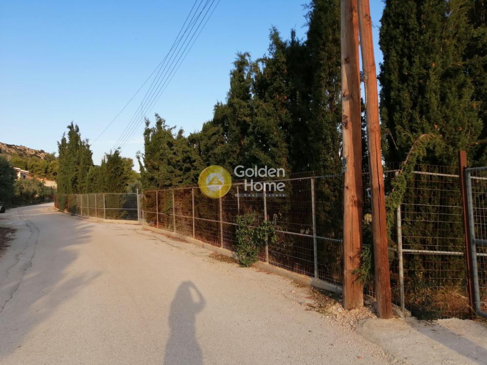 Αγροτεμάχια 4.124 τ.μ. προς πώληση, Ξυλοκέριζα