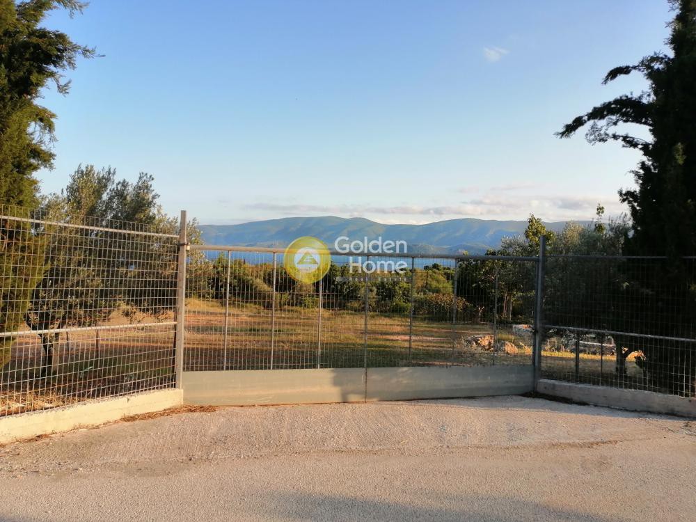 Αγροτεμάχια 4.124 τ.μ. προς πώληση, Ξυλοκέριζα