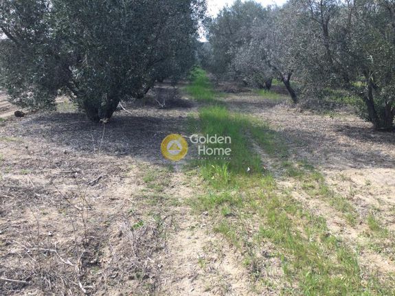Land plot 502 sqm for sale, Chalkidiki, Kallikrateia