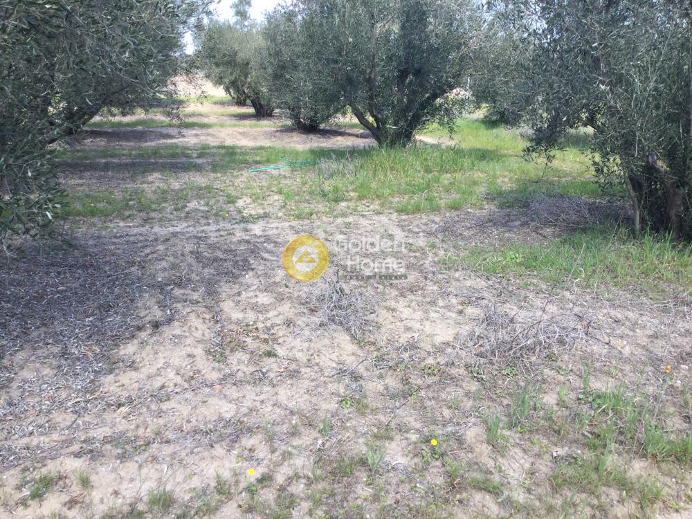 Οικόπεδο 502 τ.μ. προς πώληση, Νέα Ηράκλεια