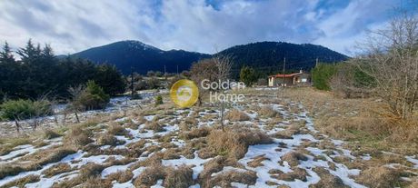 Parcel 8.105sqm for sale-Delfoi » Kalania