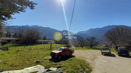 Land plot 2.907sqm for sale-Parnassos » Polidrosos