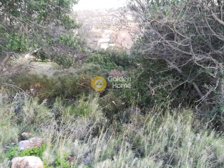 Land plot 4.500sqm for sale-Koropi » Agios Dimitrios