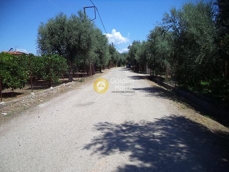 Parcel 981sqm for sale-Aigio » Temeni