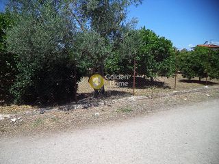 Αγροτεμάχια 981 τ.μ. για πώληση, Αχαΐα, Αίγιο-thumb-2