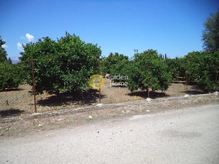 Αγροτεμάχια 981 τ.μ. για πώληση, Αχαΐα, Αίγιο-thumb-3