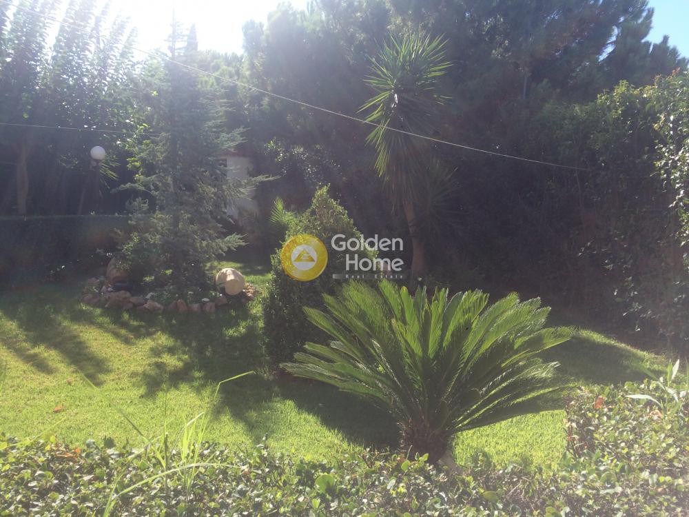Μονοκατοικία 375 τ.μ. προς πώληση, Λαγονήσι