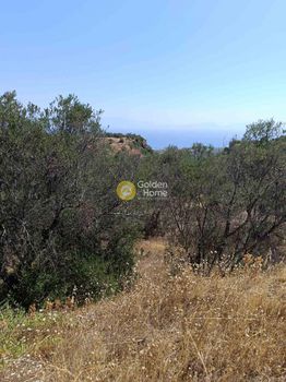 Land plot 4.000sqm for sale-Xilokastro » Geliniatika
