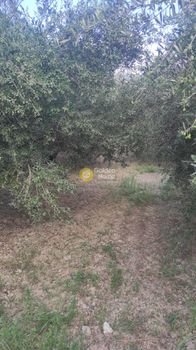 Land plot 799sqm for sale-Nikos Kazantzakis » Agies Paraskies
