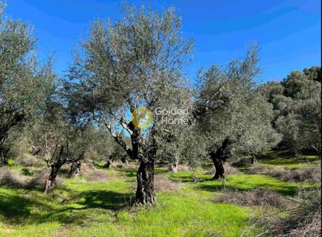 Parcel 8.500sqm for sale-Androusa » Vasilada
