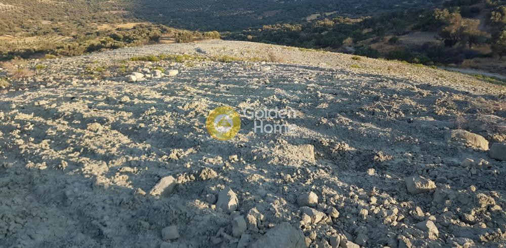 Αγροτεμάχια 19.500 τ.μ. πρός πώληση, Ν. Ρεθύμνου, Κουρήτες