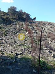 Αγροτεμάχια 19.500 τ.μ. προς πώληση, Αποδούλου-thumb-6