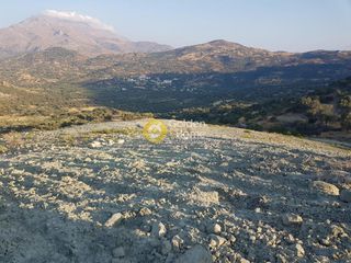 Αγροτεμάχια 19.500 τ.μ. για πώληση