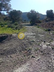 Αγροτεμάχια 19.500 τ.μ. προς πώληση, Αποδούλου-thumb-5