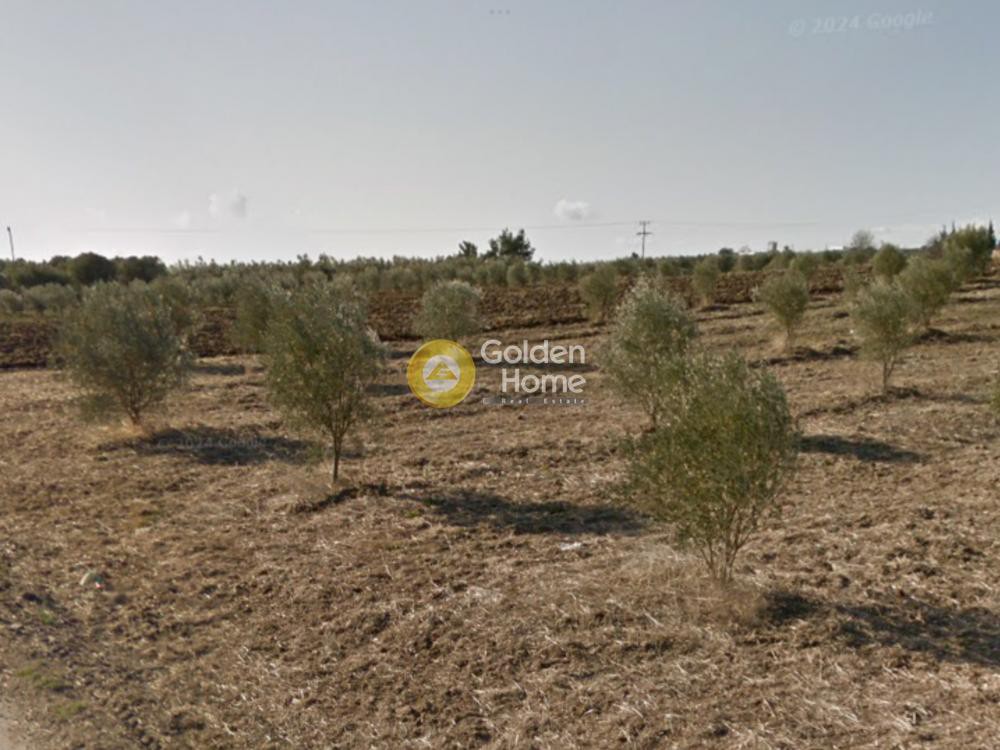Οικόπεδο 18.000 τ.μ. προς πώληση, Νέα Ηράκλεια