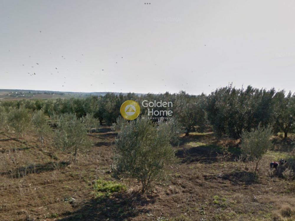 Οικόπεδο 18.000 τ.μ. προς πώληση, Νέα Ηράκλεια