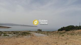 Οικόπεδο 65.000 τ.μ. για πώληση