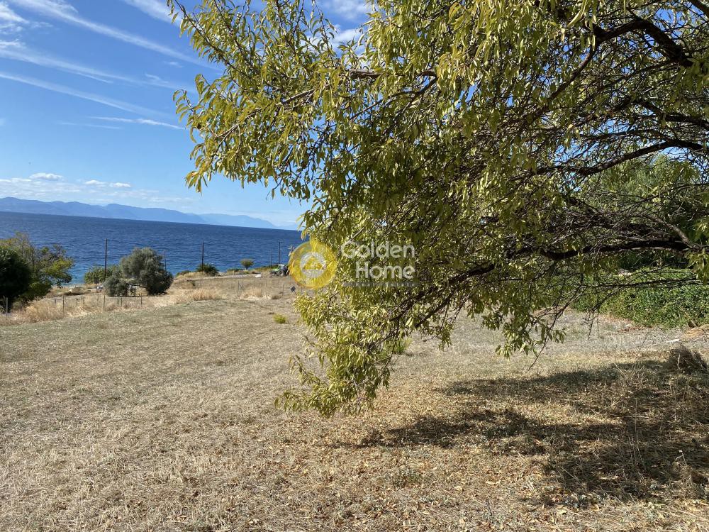Οικόπεδο 1.013 τ.μ. προς πώληση, Χρόνια