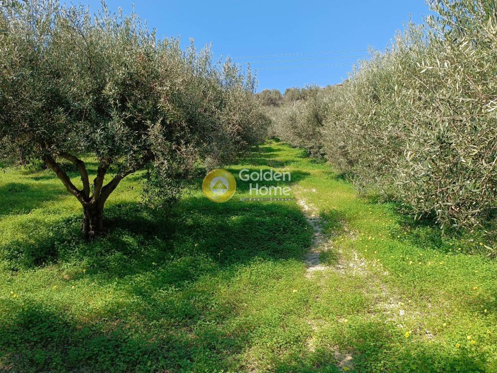 Οικόπεδο 6.317 τ.μ. προς πώληση, Γιοφυράκια