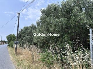 Αγροτεμάχια 4.128 τ.μ. για πώληση