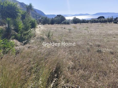 Αγροτεμάχια 5.506 τ.μ. για πώληση